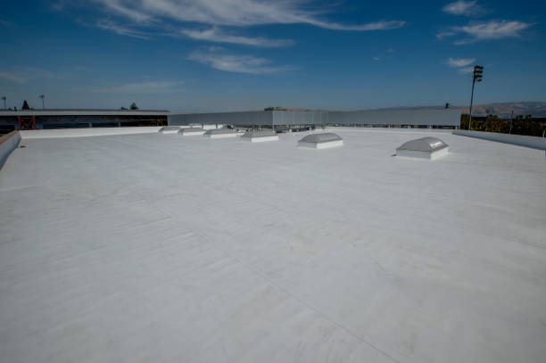 Best Metal Roofing Installation  in Edmore, MI