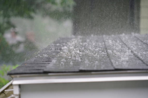 Best 4 Ply Roofing  in Edmore, MI