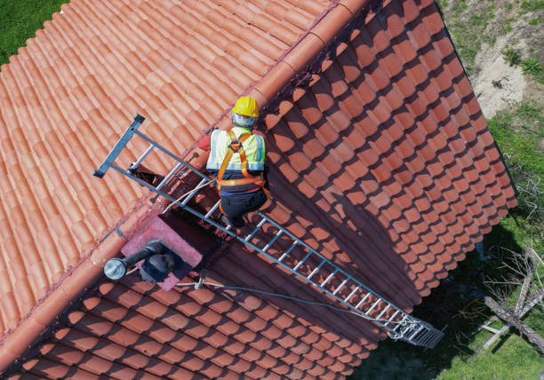 Best Asphalt Shingle Roofing  in Edmore, MI