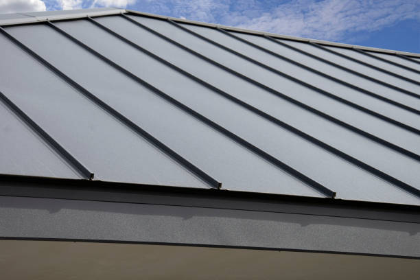 Best Asphalt Shingle Roofing  in Edmore, MI