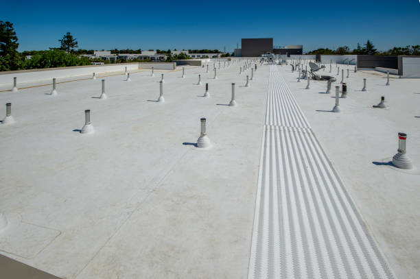 Best Rubber Roofing (EPDM, TPO)  in Edmore, MI